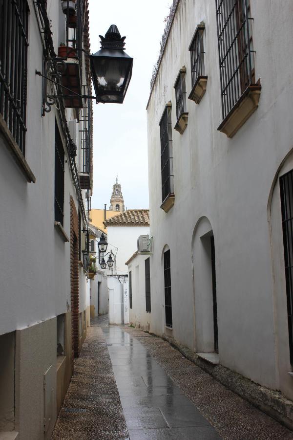 Loft Turistico En Casco Historico, Wifi Y Tv Satelite Gratis Apartman Córdoba Kültér fotó