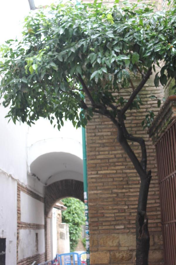 Loft Turistico En Casco Historico, Wifi Y Tv Satelite Gratis Apartman Córdoba Kültér fotó