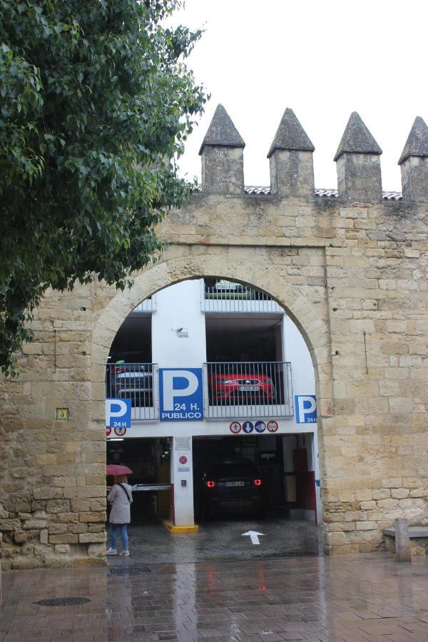 Loft Turistico En Casco Historico, Wifi Y Tv Satelite Gratis Apartman Córdoba Kültér fotó