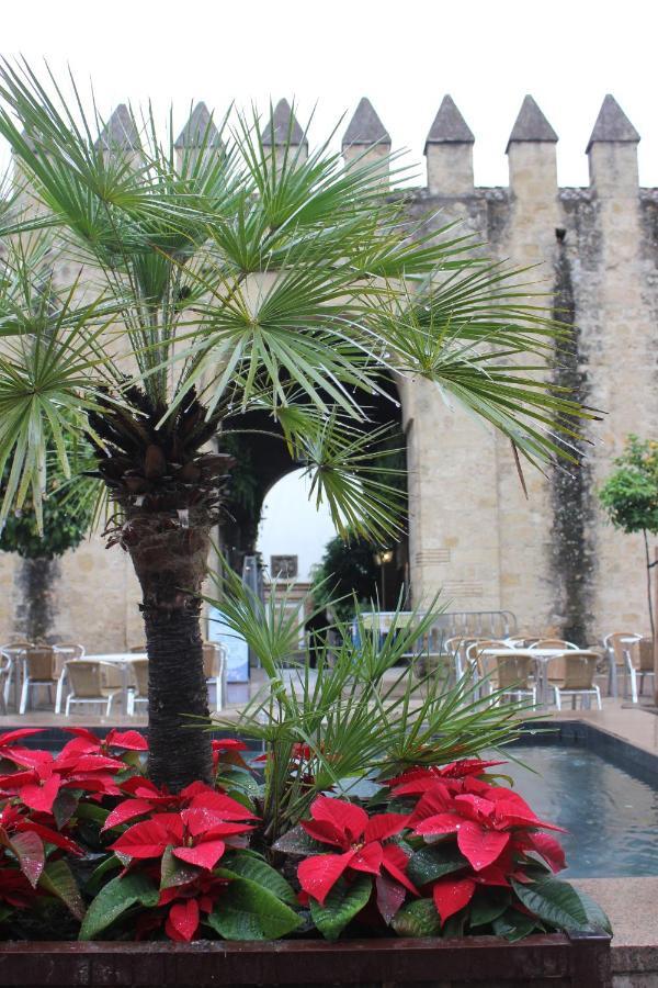 Loft Turistico En Casco Historico, Wifi Y Tv Satelite Gratis Apartman Córdoba Kültér fotó