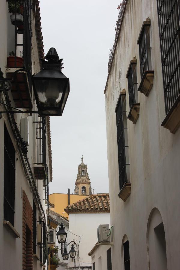 Loft Turistico En Casco Historico, Wifi Y Tv Satelite Gratis Apartman Córdoba Kültér fotó