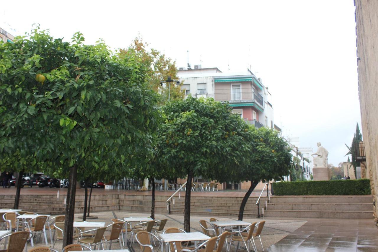 Loft Turistico En Casco Historico, Wifi Y Tv Satelite Gratis Apartman Córdoba Kültér fotó
